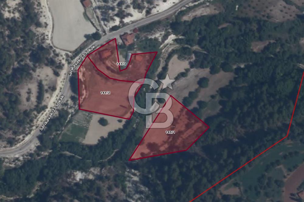 Denizli Çameli Sarıkavakta 12 Dönüm Taş Evli Fırsat Özel Mülk