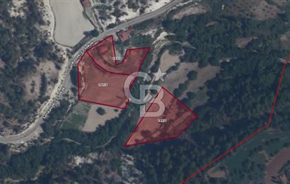 Denizli Çameli Sarıkavakta 12 Dönüm Taş Evli Fırsat Özel Mülk