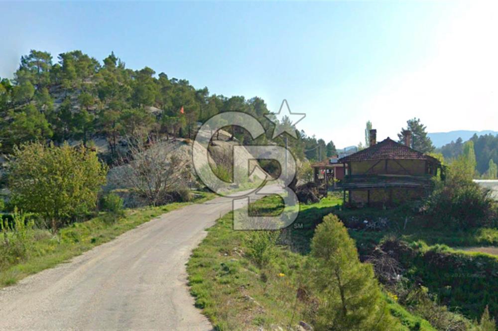 Denizli Çameli Sarıkavakta 12 Dönüm Taş Evli Fırsat Özel Mülk