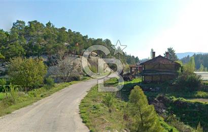 Denizli Çameli Sarıkavakta 12 Dönüm Taş Evli Fırsat Özel Mülk