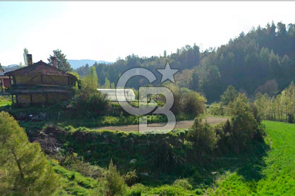 Denizli Çameli Sarıkavakta 12 Dönüm Taş Evli Fırsat Özel Mülk