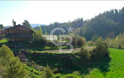 Denizli Çameli Sarıkavakta 12 Dönüm Taş Evli Fırsat Özel Mülk