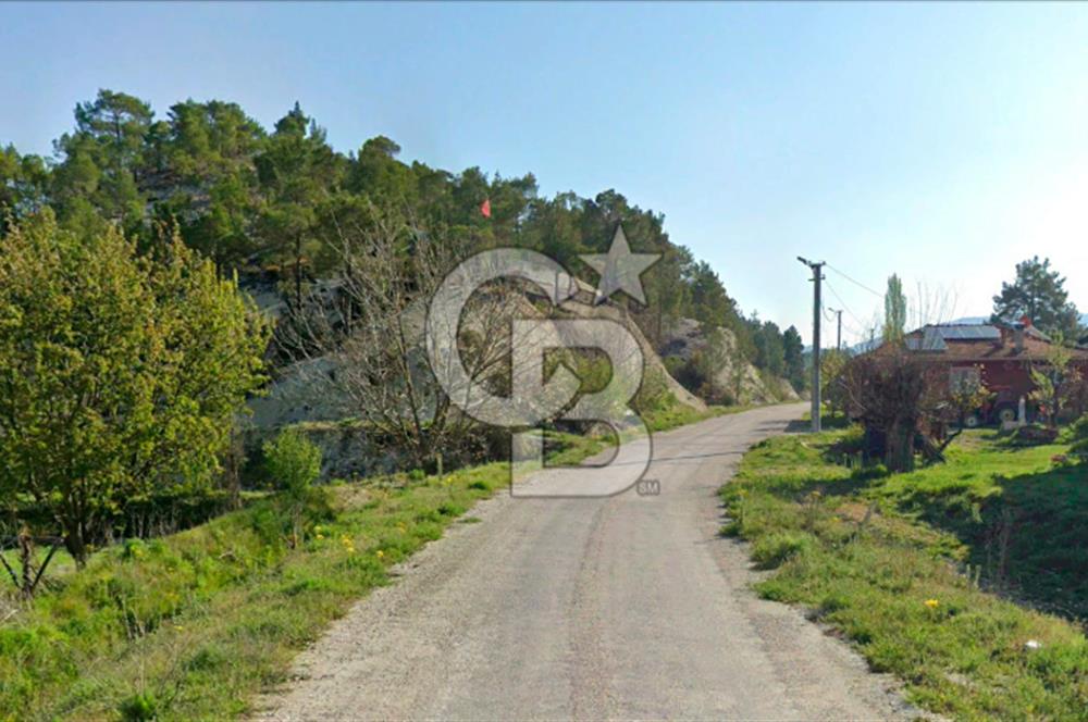 Denizli Çameli Sarıkavakta 12 Dönüm Taş Evli Fırsat Özel Mülk