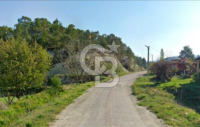 Denizli Çameli Sarıkavakta 12 Dönüm Taş Evli Fırsat Özel Mülk