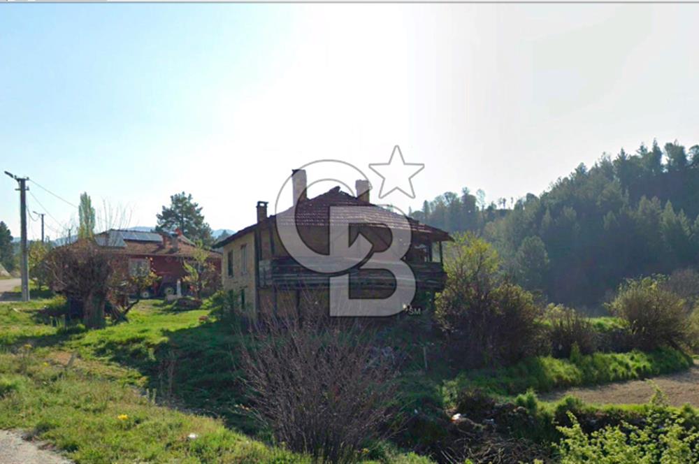 Denizli Çameli Sarıkavakta 12 Dönüm Taş Evli Fırsat Özel Mülk