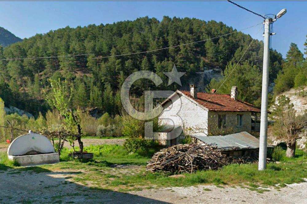 Denizli Çameli Sarıkavakta 12 Dönüm Taş Evli Fırsat Özel Mülk