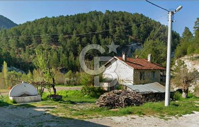 Denizli Çameli Sarıkavakta 12 Dönüm Taş Evli Fırsat Özel Mülk