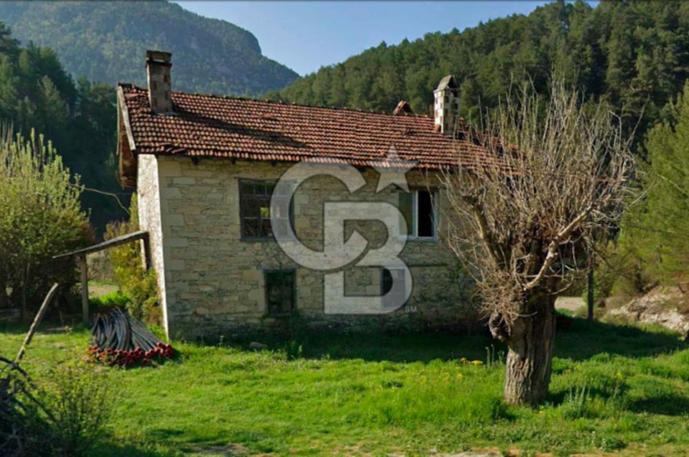 Denizli Çameli Sarıkavakta 12 Dönüm Taş Evli Fırsat Özel Mülk