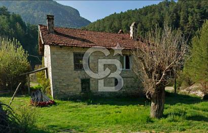 Denizli Çameli Sarıkavakta 12 Dönüm Taş Evli Fırsat Özel Mülk