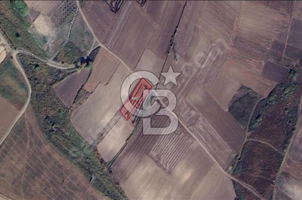 CB BLACK'TAN KARACABEY HARMANLI'DA 2.200 m2 SATILIK TARLA