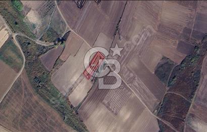 CB BLACK'TAN KARACABEY HARMANLI'DA 2.200 m2 SATILIK TARLA