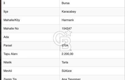 CB BLACK'TAN KARACABEY HARMANLI'DA 2.200 m2 SATILIK TARLA