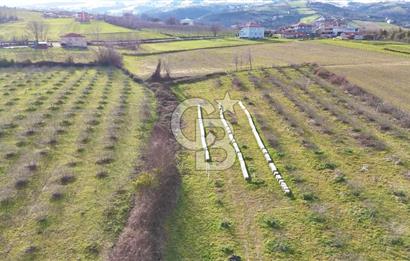 4 KATA İMARLI SATILIK KÖŞE BAŞI ARSA