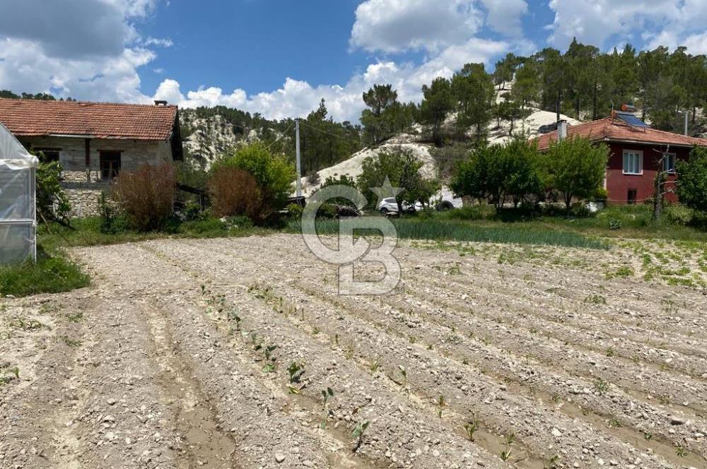 Denizli Çameli Sarıkavakta 12 Dönüm Taş Evli Fırsat Özel Mülk