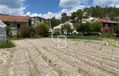 Denizli Çameli Sarıkavakta 12 Dönüm Taş Evli Fırsat Özel Mülk