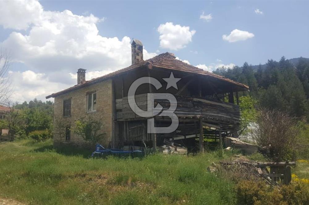 Denizli Çameli Sarıkavakta 12 Dönüm Taş Evli Fırsat Özel Mülk