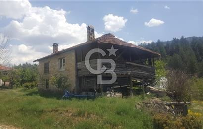 Denizli Çameli Sarıkavakta 12 Dönüm Taş Evli Fırsat Özel Mülk