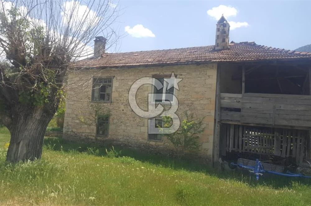 Denizli Çameli Sarıkavakta 12 Dönüm Taş Evli Fırsat Özel Mülk