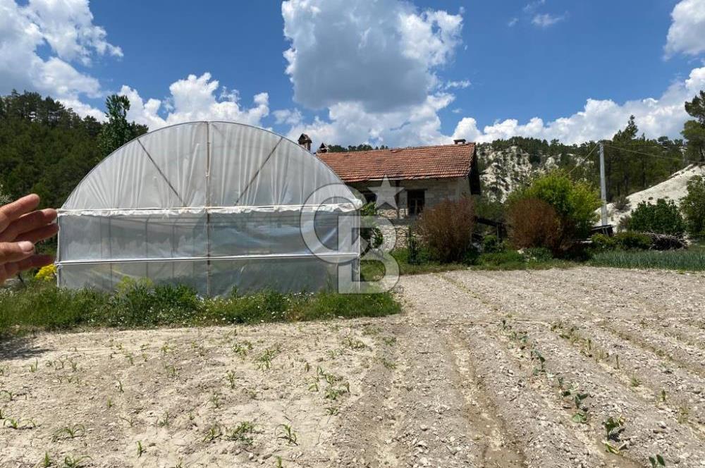 Denizli Çameli Sarıkavakta 12 Dönüm Taş Evli Fırsat Özel Mülk