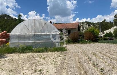 Denizli Çameli Sarıkavakta 12 Dönüm Taş Evli Fırsat Özel Mülk