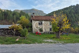 Denizli Çameli Sarıkavakta 12 Dönüm Taş Evli Fırsat Özel Mülk - 1 - 330559