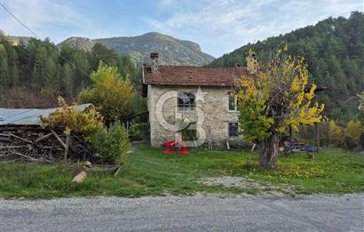 Denizli Çameli Sarıkavakta 12 Dönüm Taş Evli Fırsat Özel Mülk