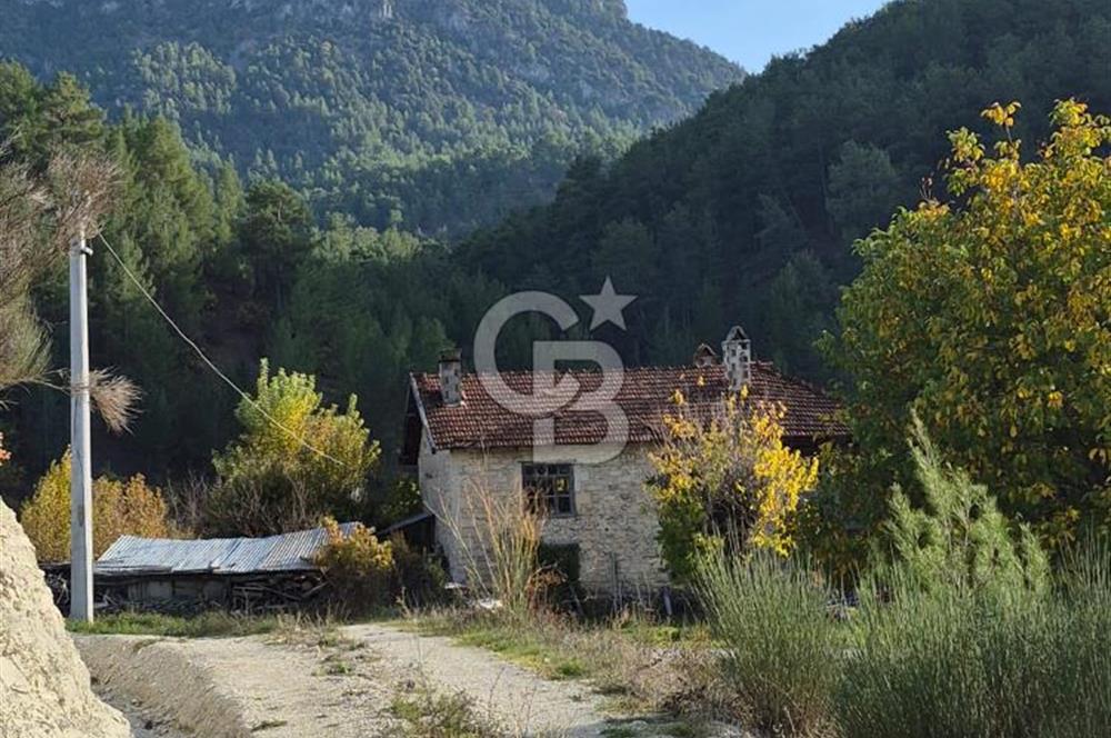 Denizli Çameli Sarıkavakta 12 Dönüm Taş Evli Fırsat Özel Mülk