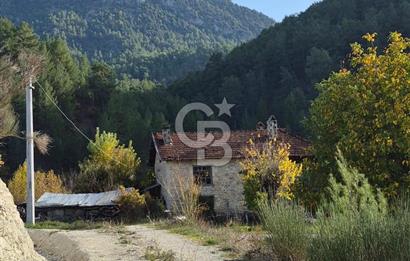 Denizli Çameli Sarıkavakta 12 Dönüm Taş Evli Fırsat Özel Mülk