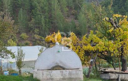 Denizli Çameli Sarıkavakta 12 Dönüm Taş Evli Fırsat Özel Mülk