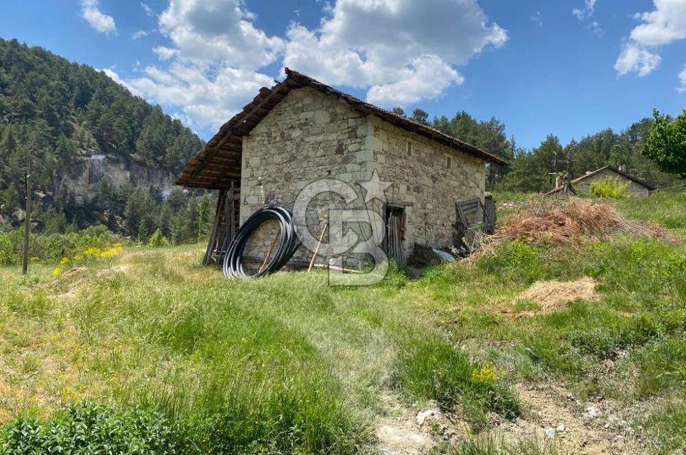 Denizli Çameli Sarıkavakta 12 Dönüm Taş Evli Fırsat Özel Mülk