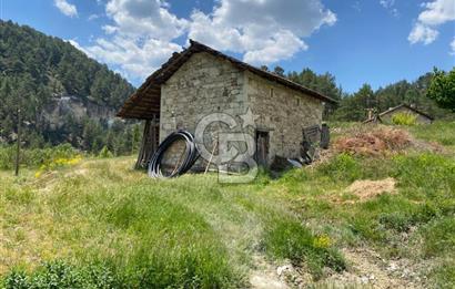 Denizli Çameli Sarıkavakta 12 Dönüm Taş Evli Fırsat Özel Mülk