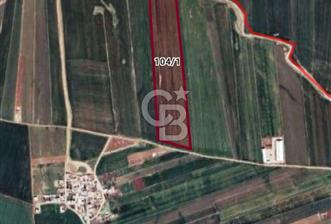 MARDİN/KIZILTEPE/ İKİKUYU DA TARLA - 2 - 330531