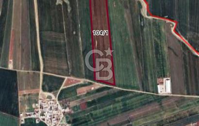 MARDİN/KIZILTEPE/ İKİKUYU DA TARLA