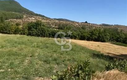 Manisa Akhisar Yayakırıldık Mevkii Satılık Tarla
