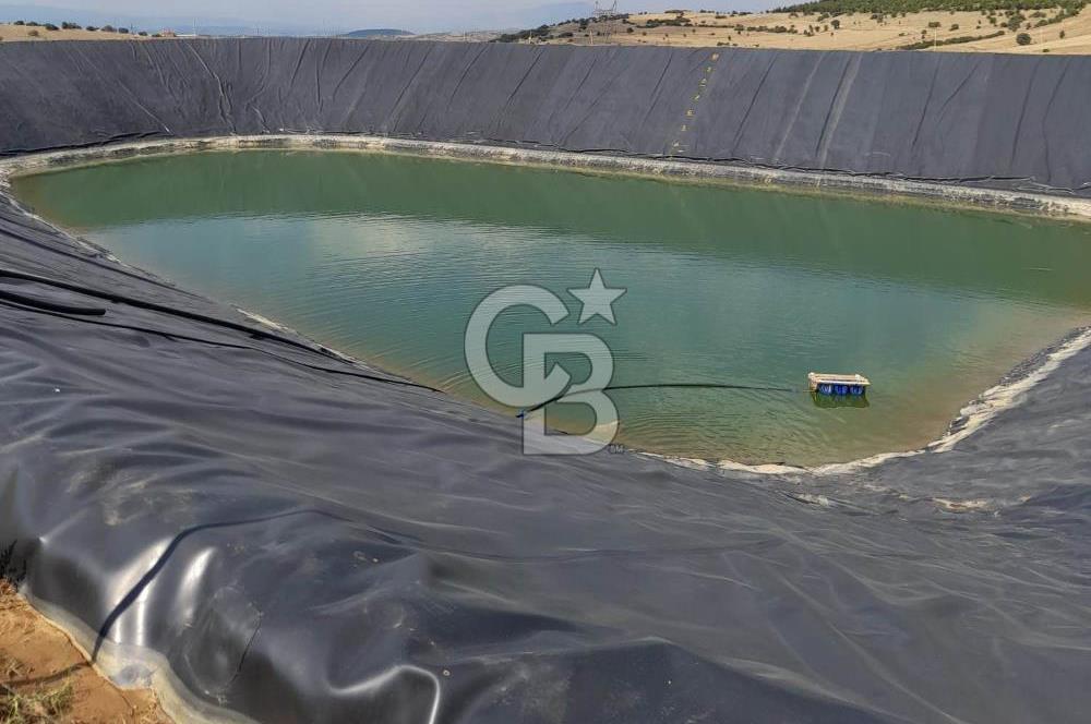 MANİSA KULA 165 DÖNÜM /CHANDLER CEVİZ VE ANJELİK ERİK BAHÇESİ