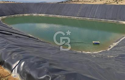 MANİSA KULA 165 DÖNÜM /CHANDLER CEVİZ VE ANJELİK ERİK BAHÇESİ