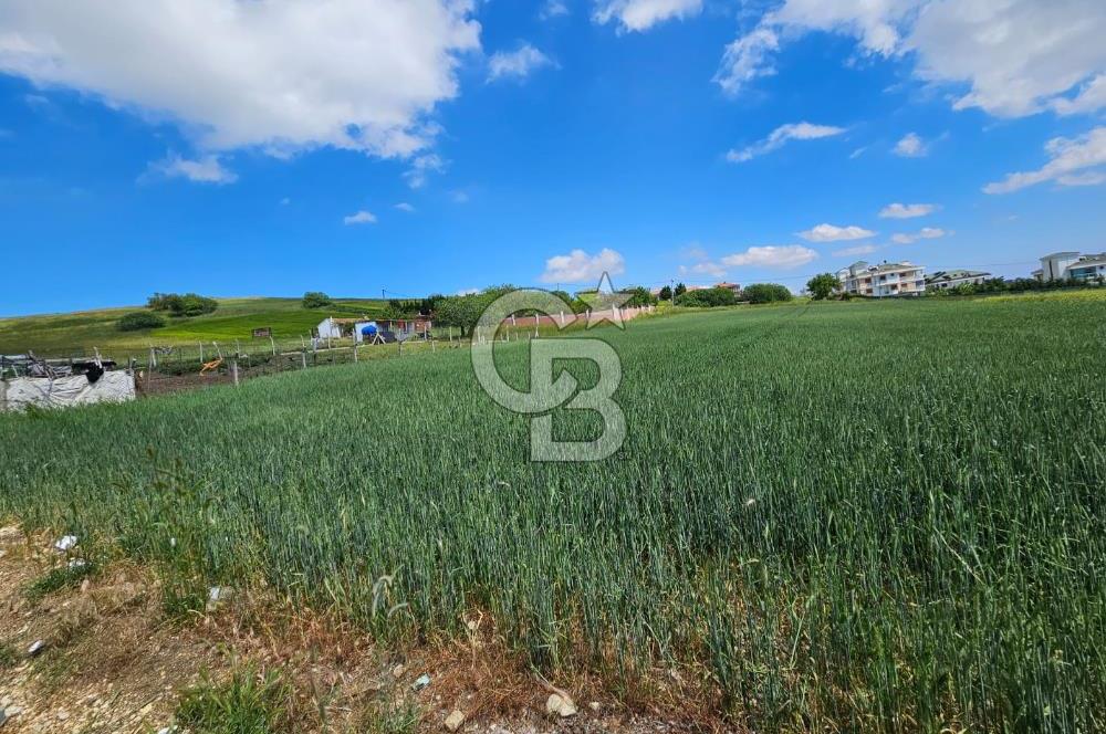 Kumburgaz da Villa İmarlı 3900 M2 Satılık Arsa