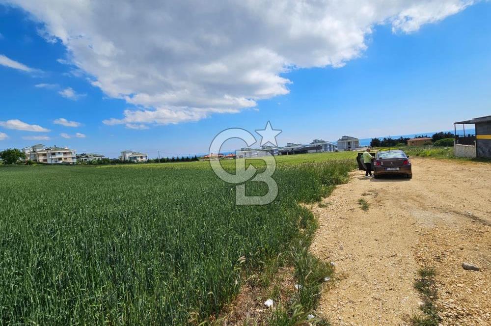 Kumburgaz da Villa İmarlı 3900 M2 Satılık Arsa