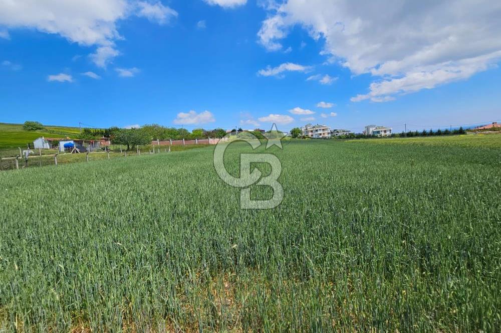 Kumburgaz da Villa İmarlı 3900 M2 Satılık Arsa