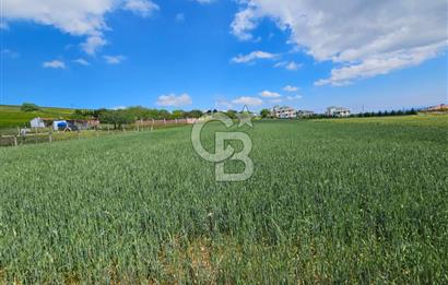 Kumburgaz da Villa İmarlı 3900 M2 Satılık Arsa