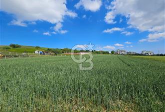 Kumburgaz da Villa İmarlı 3900 M2 Satılık Arsa - 10 - 330593