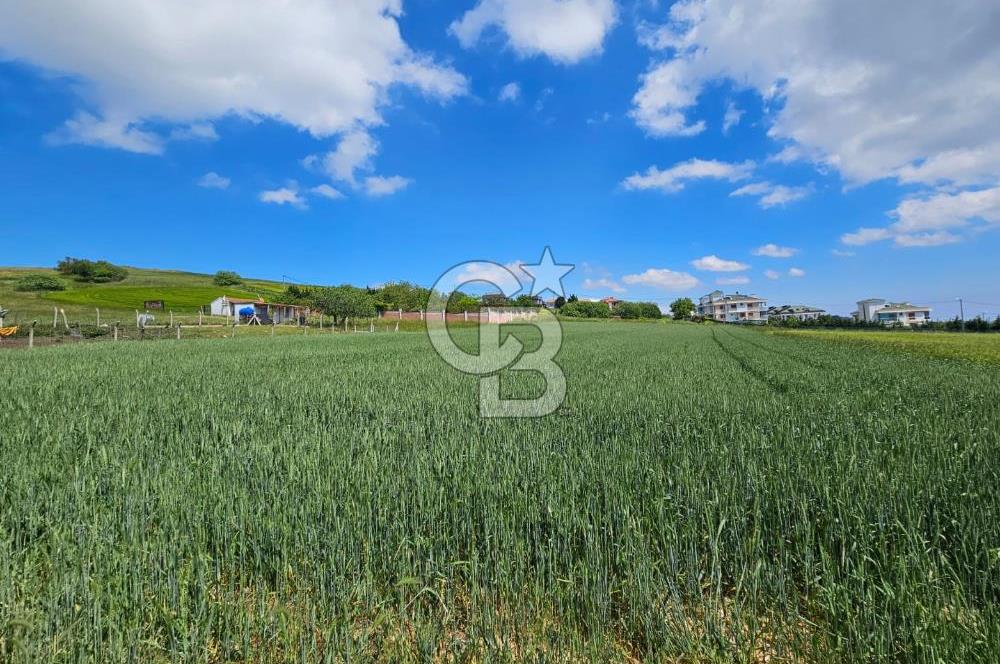 Kumburgaz da Villa İmarlı 3900 M2 Satılık Arsa