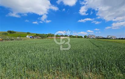 Kumburgaz da Villa İmarlı 3900 M2 Satılık Arsa