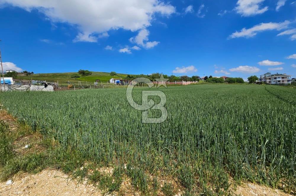 Kumburgaz da Villa İmarlı 3900 M2 Satılık Arsa