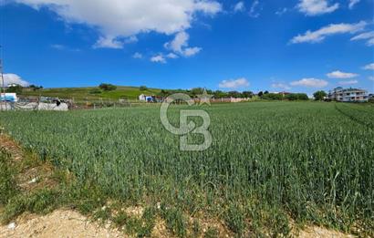 Kumburgaz da Villa İmarlı 3900 M2 Satılık Arsa