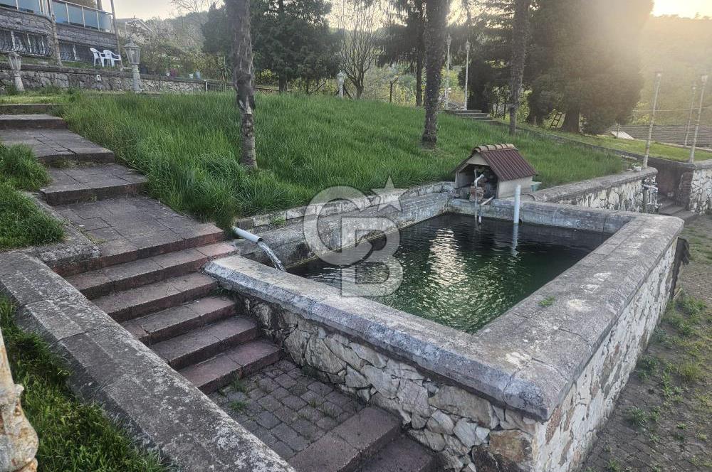 YALOVA MERKEZ BURSA YOLUNA CEPHE SATILIK TİCARİ İMARLI ARSA!