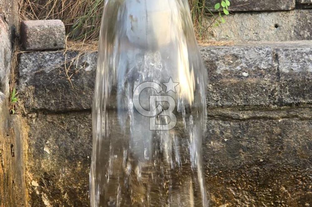 YALOVA MERKEZ BURSA YOLUNA CEPHE SATILIK TİCARİ İMARLI ARSA!