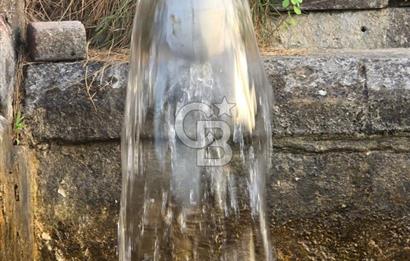 YALOVA MERKEZ BURSA YOLUNA CEPHE SATILIK TİCARİ İMARLI ARSA!