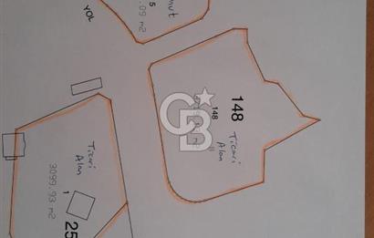 YALOVA MERKEZ BURSA YOLUNA CEPHE SATILIK TİCARİ İMARLI ARSA!