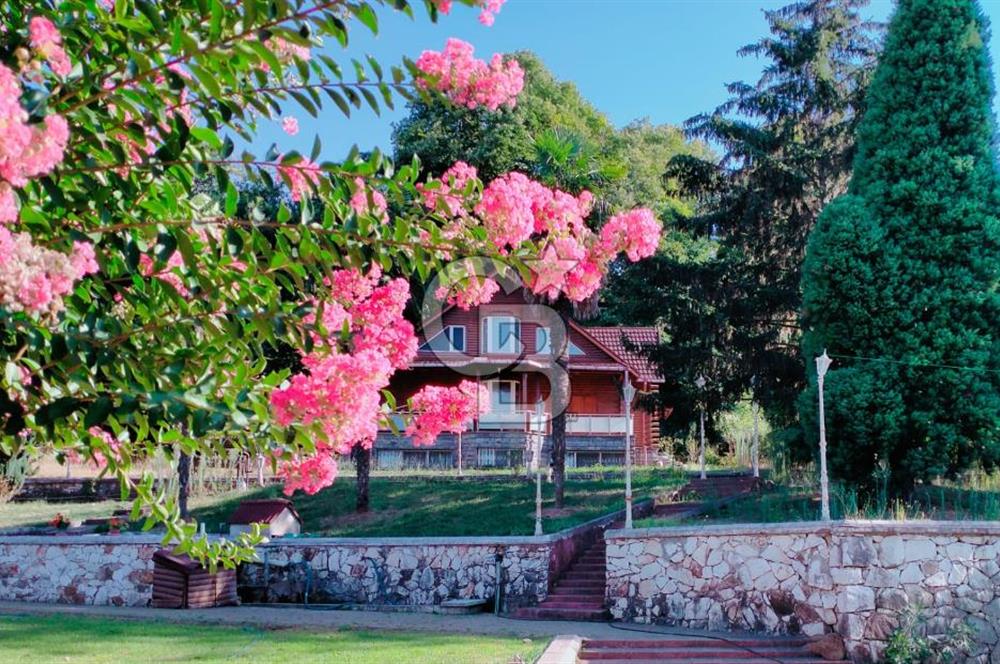 YALOVA MERKEZ BURSA YOLUNA CEPHE SATILIK TİCARİ İMARLI ARSA!